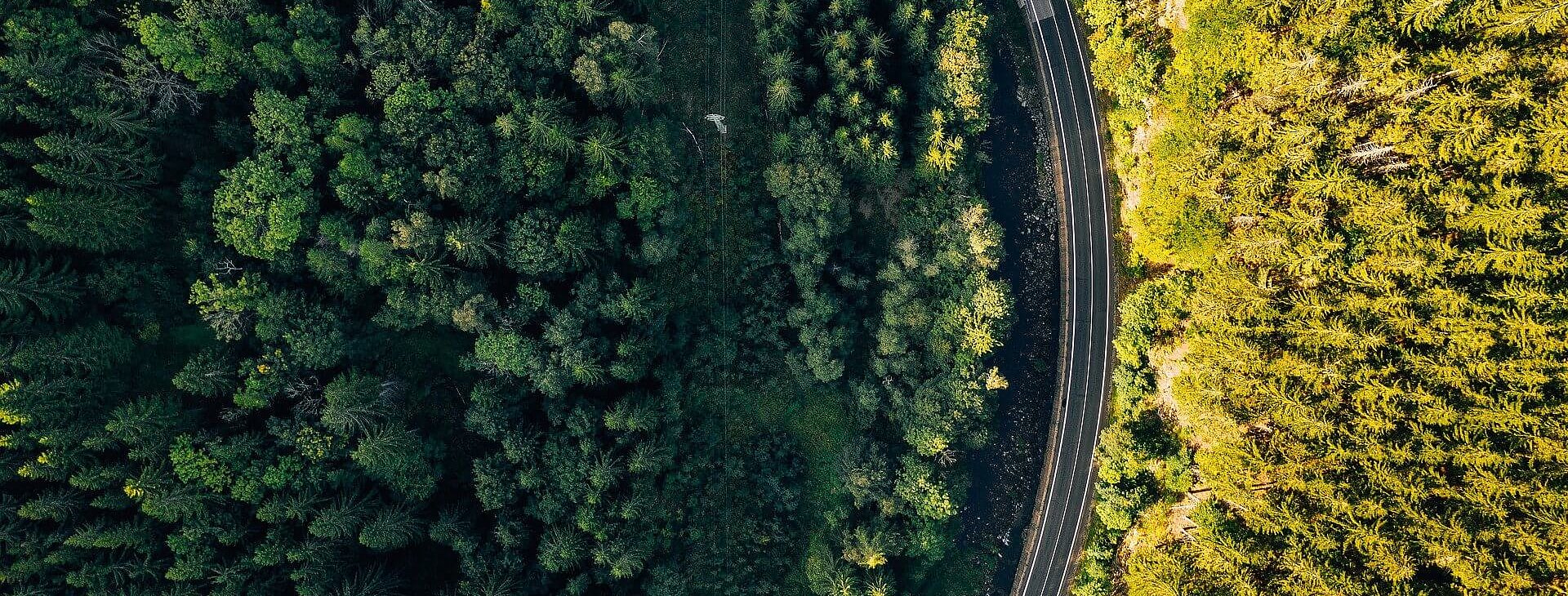 ESG Roadmap - Committed to take responsibility 