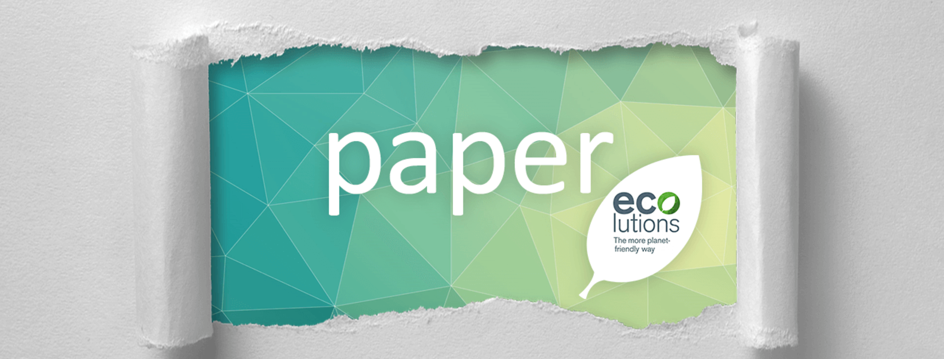 Paper Packaging Solutions