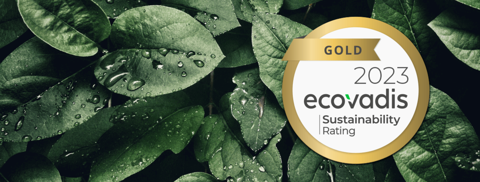 EcoVadis Gold Rating 2023